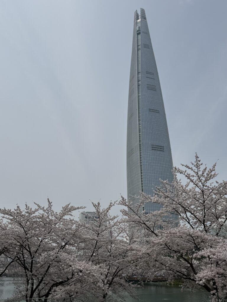 eokchon-lake-east-cherry-blossom-jamsil-april-2026, & cafe
